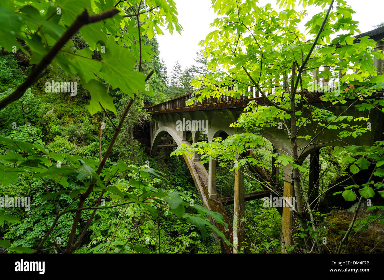 Ponte sulla storica Autostrada 30 in esecuzione attraverso la Columbia River Gorge e una lussureggiante foresta verde Foto Stock