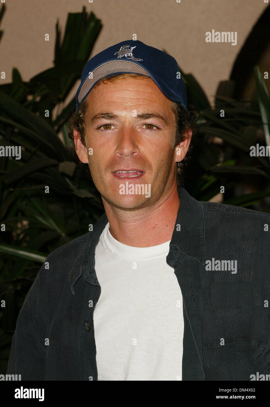 Luglio 9, 2002 - Pasadena, California - cavo nazionale & telecomunicazioni.Premere associazione TOUR 2002.Al RITZ CARLTON HOTEL di Pasadena, CA.LUKE PERRY. FITZROY BARRETT / 7-9-2002 K25488FB (D)(Immagine di credito: © Globo foto/ZUMAPRESS.com) Foto Stock