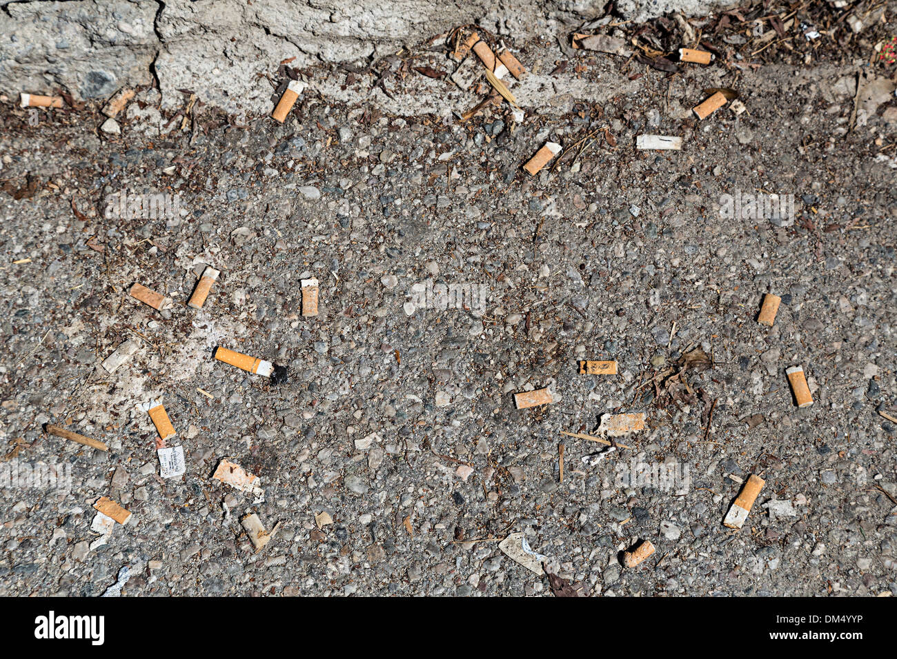 Scartato mozziconi di sigaretta gettati via, Germania Foto Stock