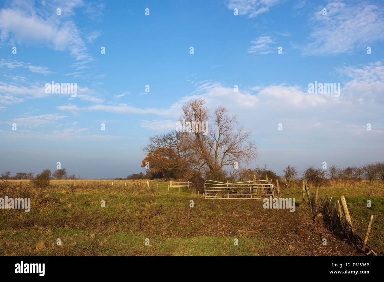 Un salice con una vecchia porta di metallo e recinzioni rustico sulla sponda di un canale sotto un cielo blu in inverno Foto Stock