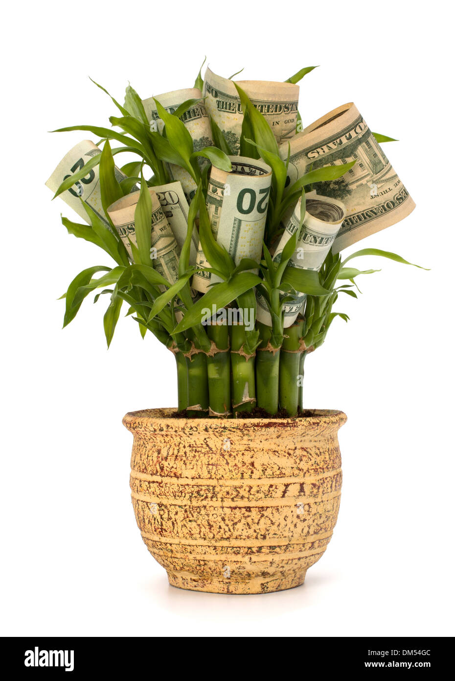 Denaro concetto crescente. Banconote denaro in crescita in vaso di fiori isolati su sfondo bianco. Foto Stock