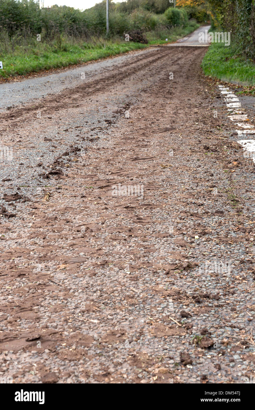 Fango sul paese lane da macchine agricole trincia semovente in movimento le coltivazioni, England, Regno Unito Foto Stock