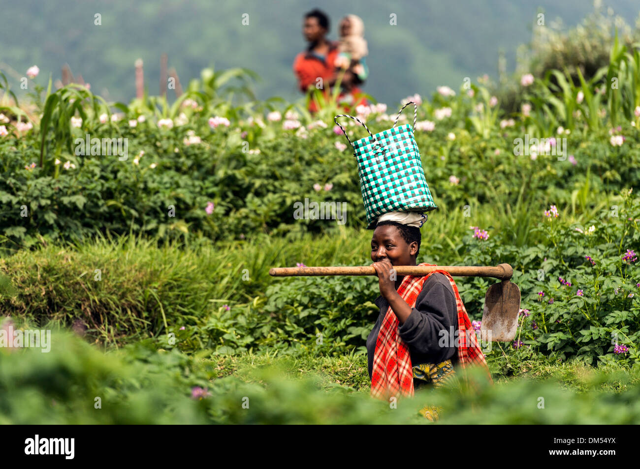 Le persone che lavorano nei campi Parco Nazionale Vulcani Ruanda Africa Foto Stock