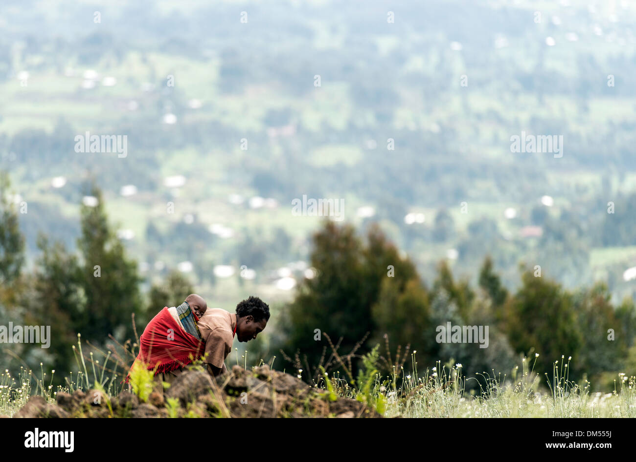 Donna con bambino sulla schiena lavorando nei campi Parco Nazionale Vulcani Ruanda Africa Foto Stock