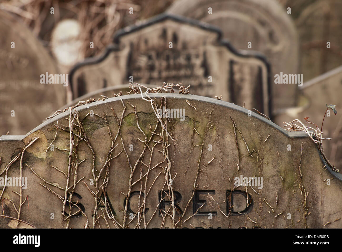 Lapide con la parola "acred' presso il Cimitero di York Foto Stock