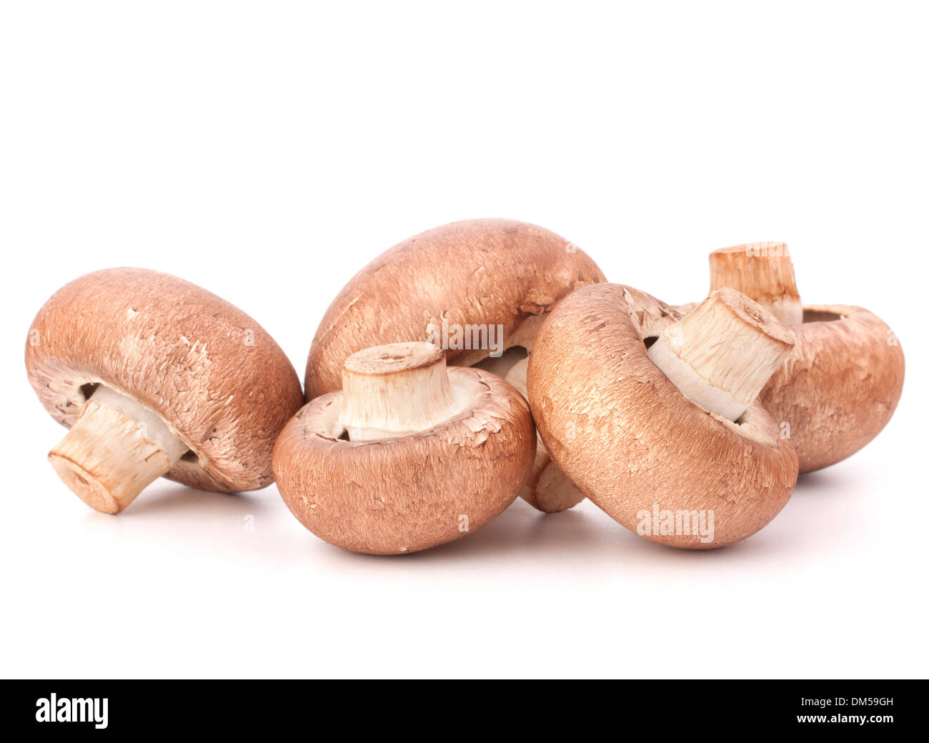 Marrone di funghi champignon gruppo isolato su sfondo bianco intaglio Foto Stock