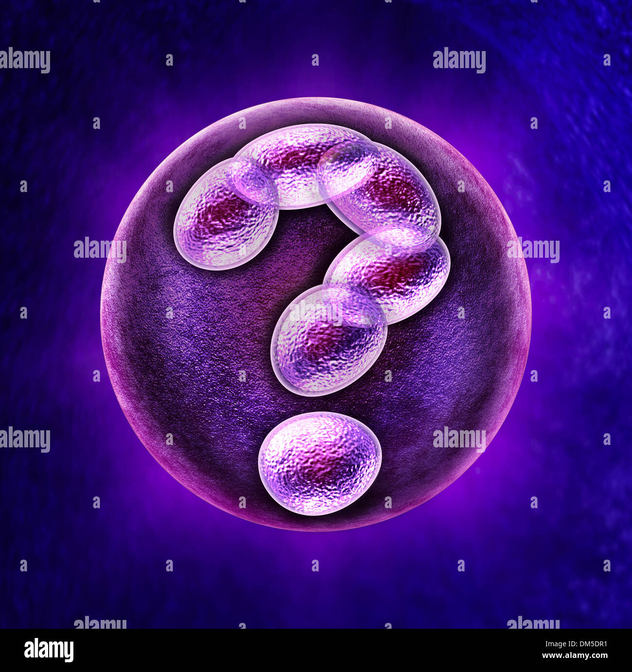 Domande di genetica medica di cura di salute concetto con un uovo umano fecondato embrione e di un gruppo di cellule in divisione a forma di punto interrogativo come un concetto per la fertilità di DNA del gene e temi correlati. Foto Stock