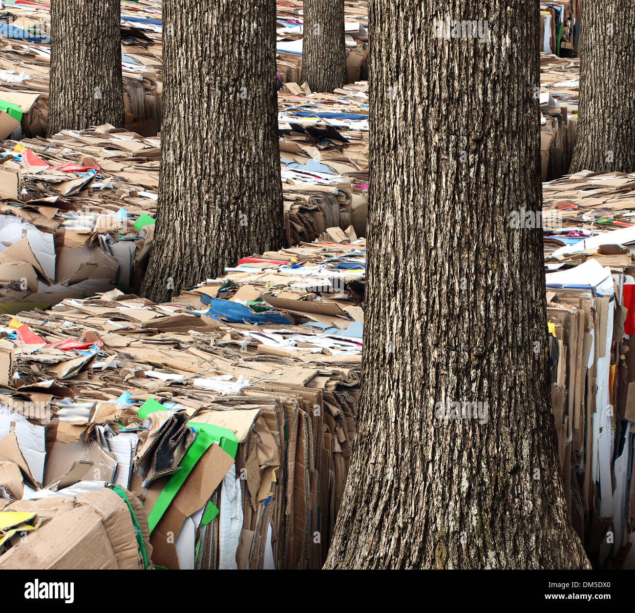 Le risorse rinnovabili e il riciclaggio di imballaggi di cartone concetto con pile di compressa ondulata di rifiuti di carta con un gruppo di Foto Stock