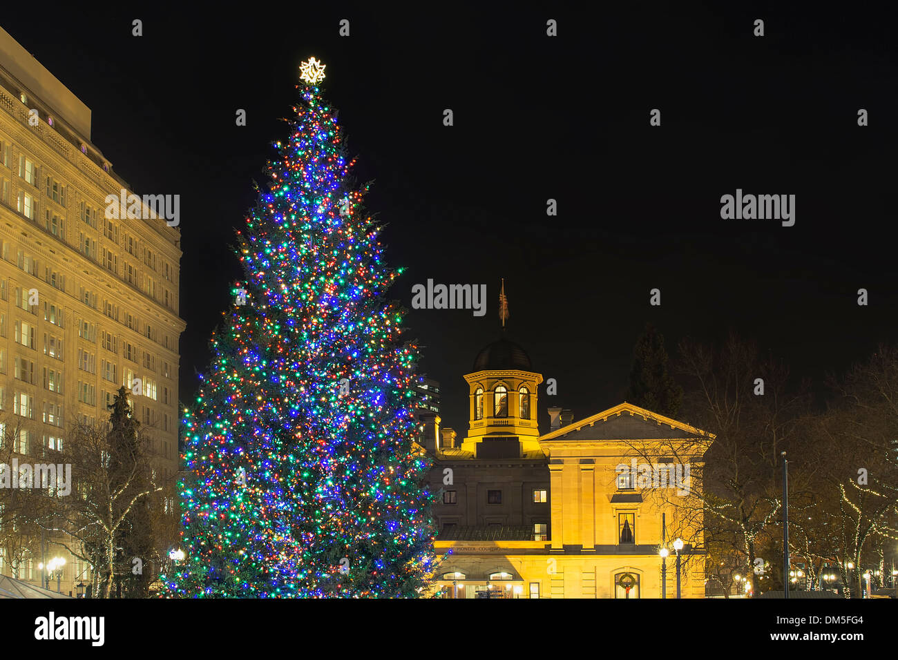 Vacanze di Natale albero a Pioneer Courthouse Square in Portland Oregon Downtown decorate con luci colorate di notte Foto Stock