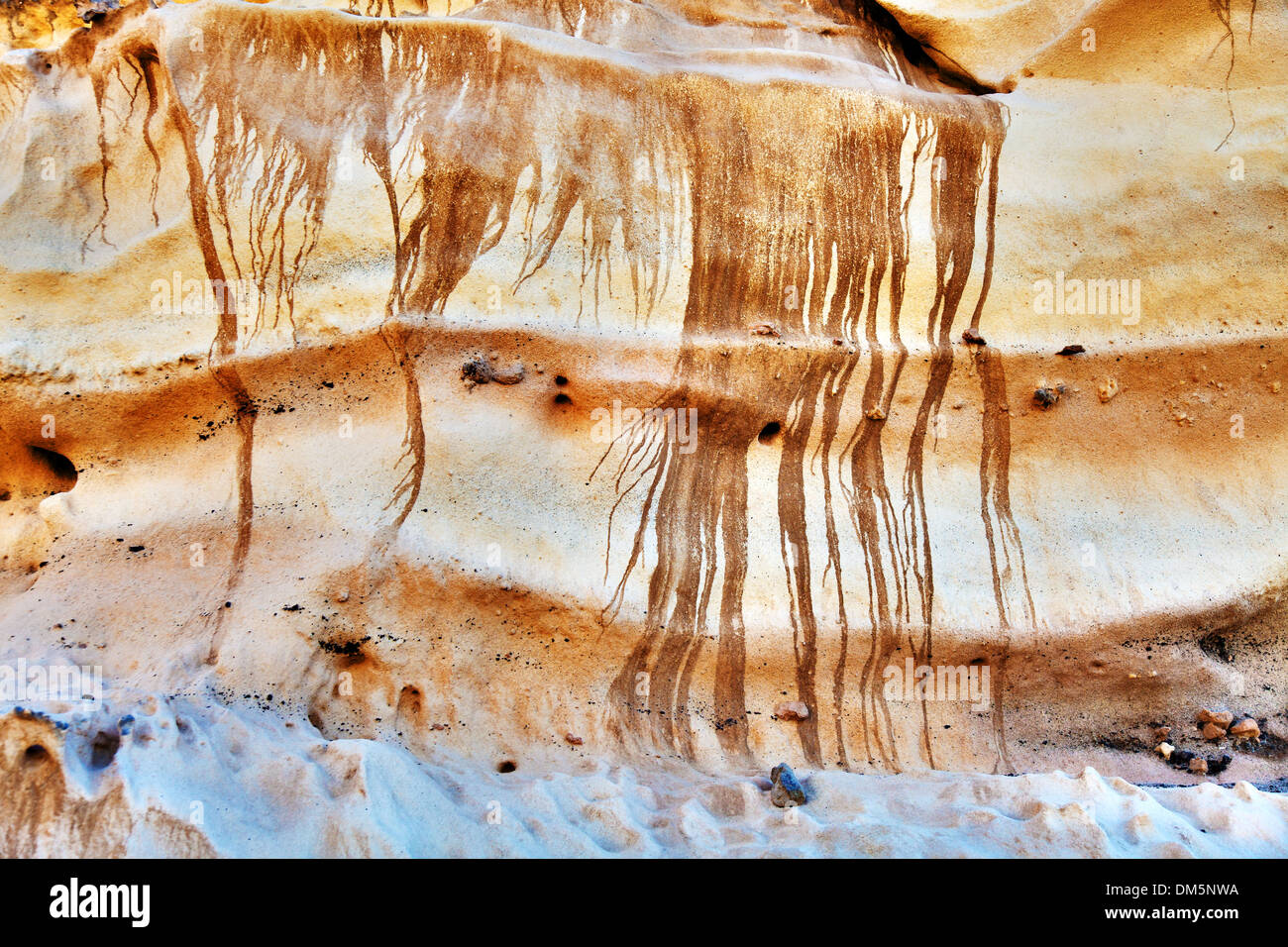 Texture della formazione geologica di arenaria Foto Stock