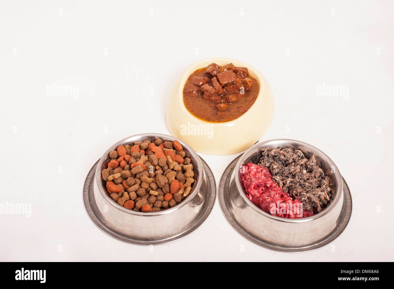 Dog bowls con alimento umido, cibo secco e con due tipi di carne cruda, materie alimentazione BARF Cibo, dieta Foto Stock