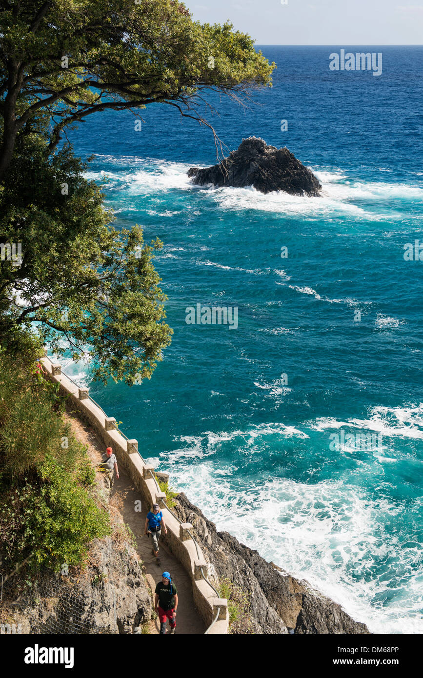 Il sentiero lungo la costa, Monterosso al Mare, Cinque Terre Provincia della Spezia, Liguria, Italia Foto Stock