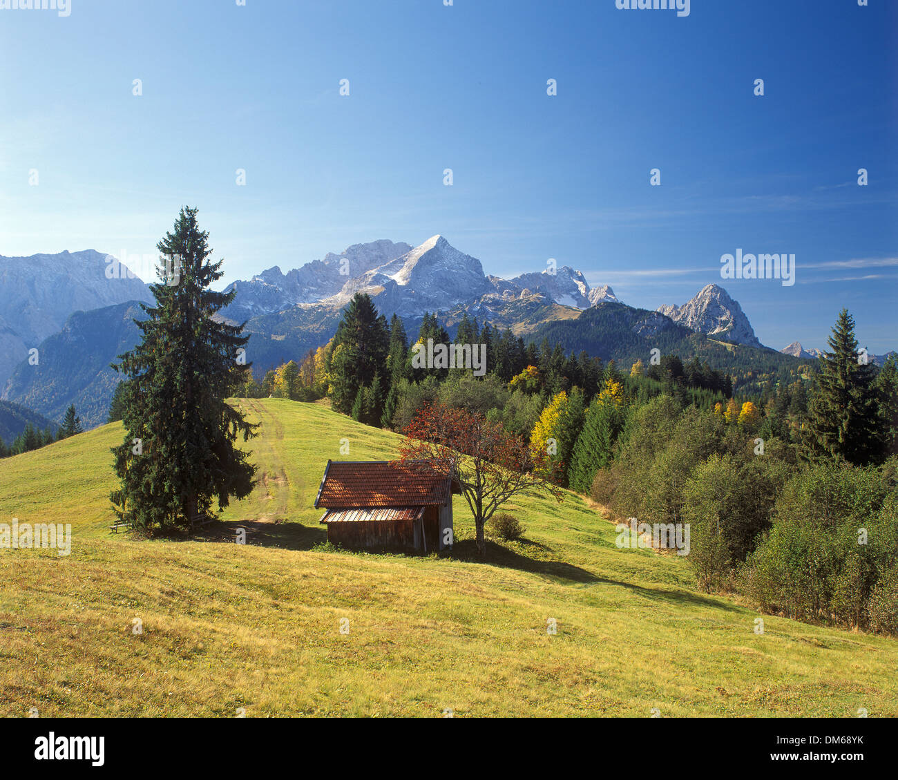 Vista da Wamberg verso monte Alpspitze e il Monte Zugspitze, montagne del Wetterstein, Alta Baviera, Baviera, Germania Foto Stock