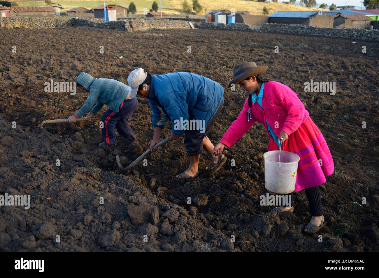 Uomo e due bambini di 9 e 12 anni semina nel campo, Puncupata, Quispillaccta, Ayacucho, Perù Foto Stock