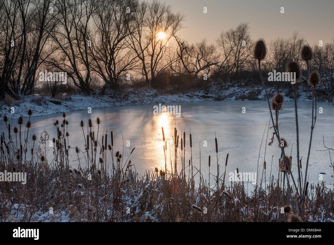 Stagno in inverno ricoperto di ghiaccio, tramonto, crollo dolina a Ettersberg, Weimar, Turingia, Germania Foto Stock