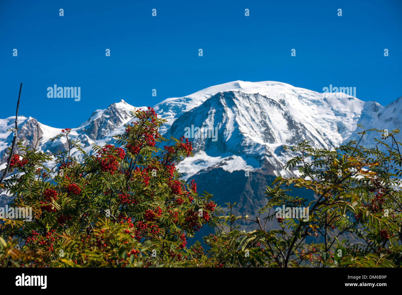 Mont Blanc mountain range visto da Le Prarion Foto Stock