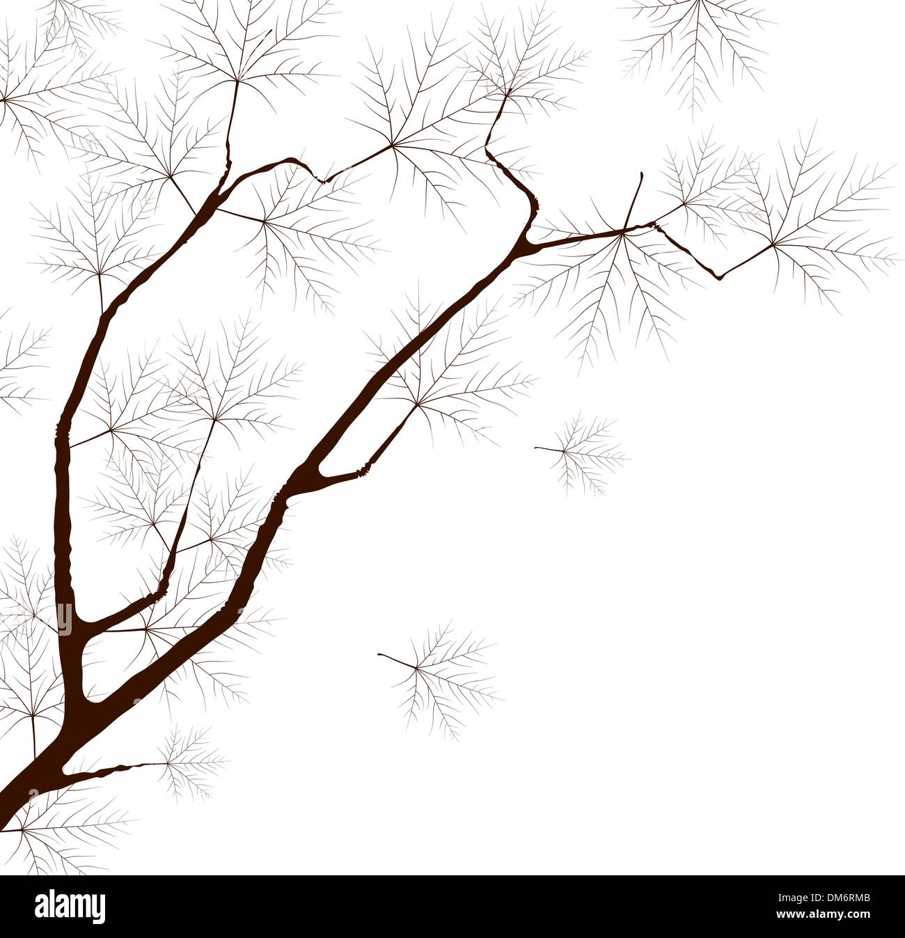 I colori autunnali acero. Illustrazione Vettoriale