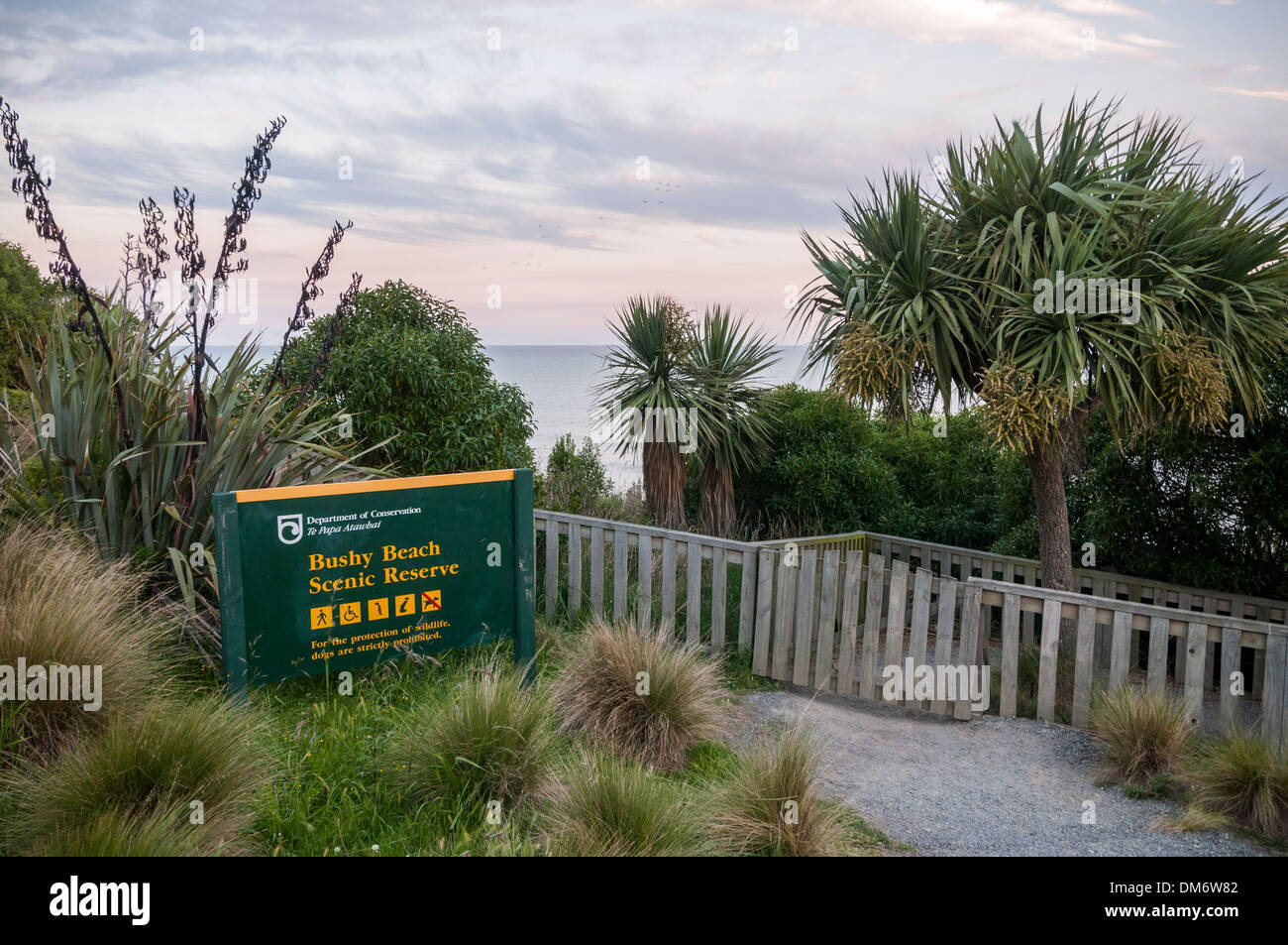 Spiaggia cespuglioso riserva paesaggistica, Oamaru, North Otago, South Island, in Nuova Zelanda. Foto Stock