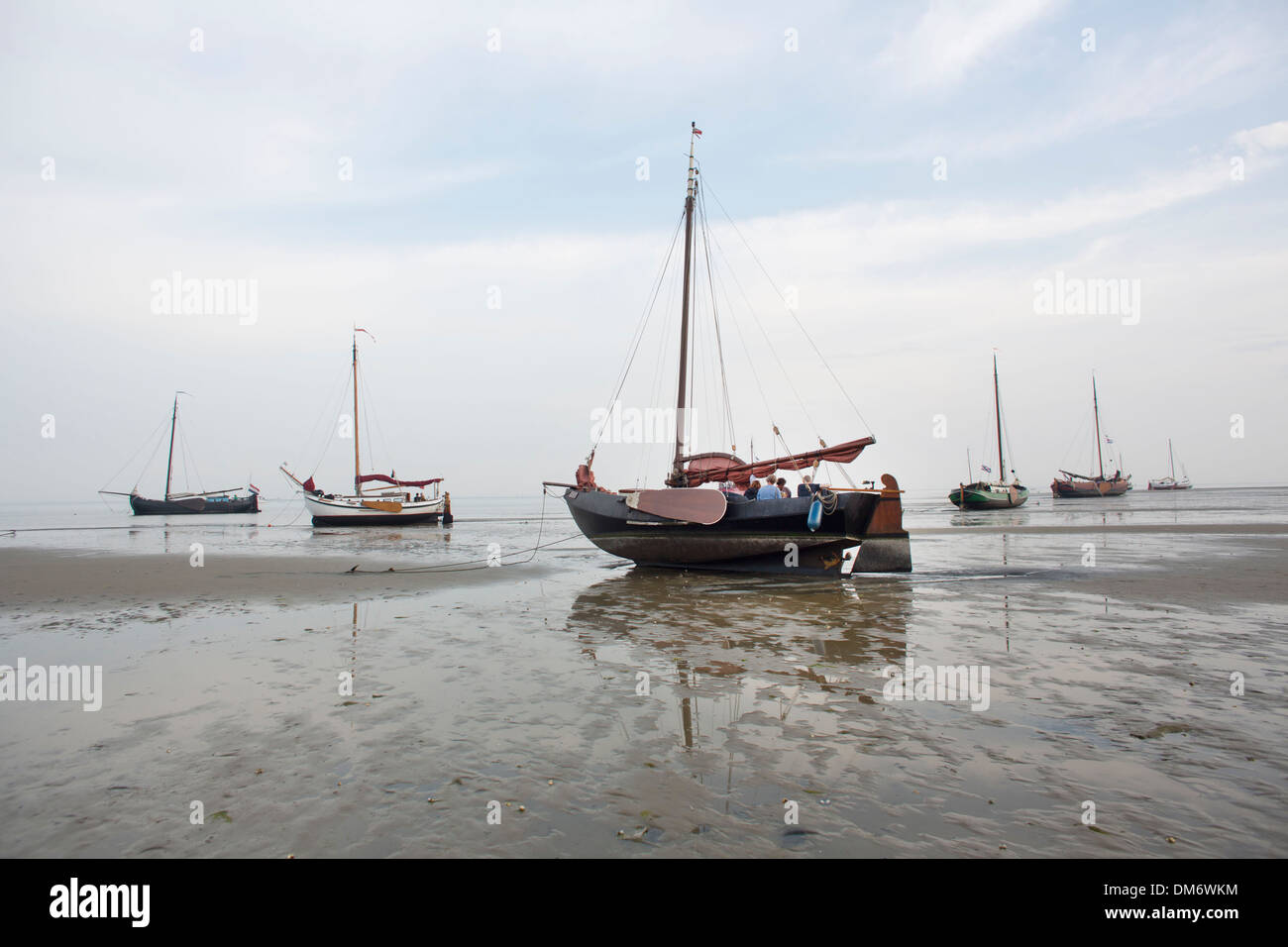 Spiaggia della 'waddenzee' in Olanda Foto Stock