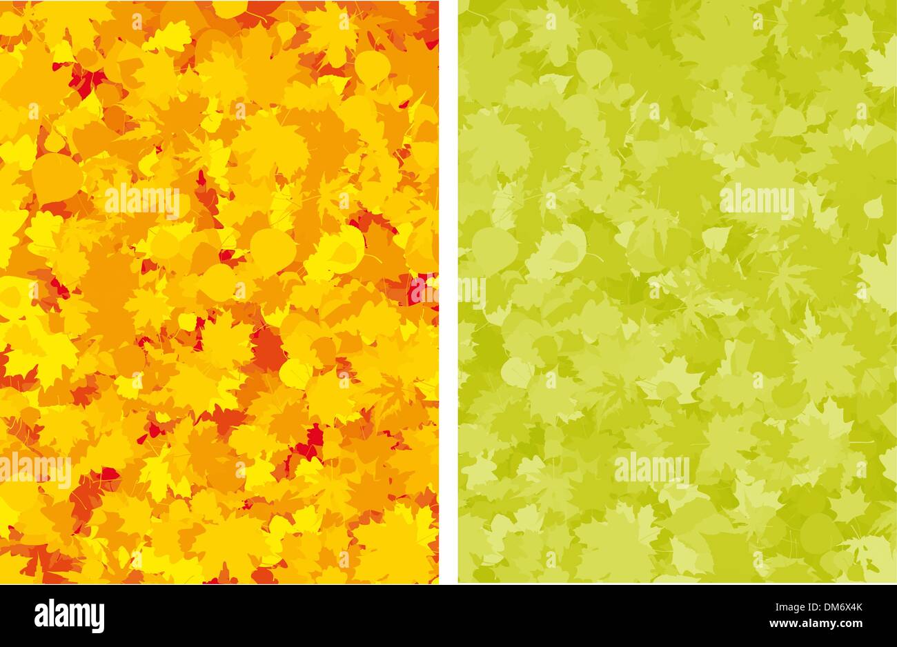 Autunno colorato di foglie di acero. Illustrazione Vettoriale