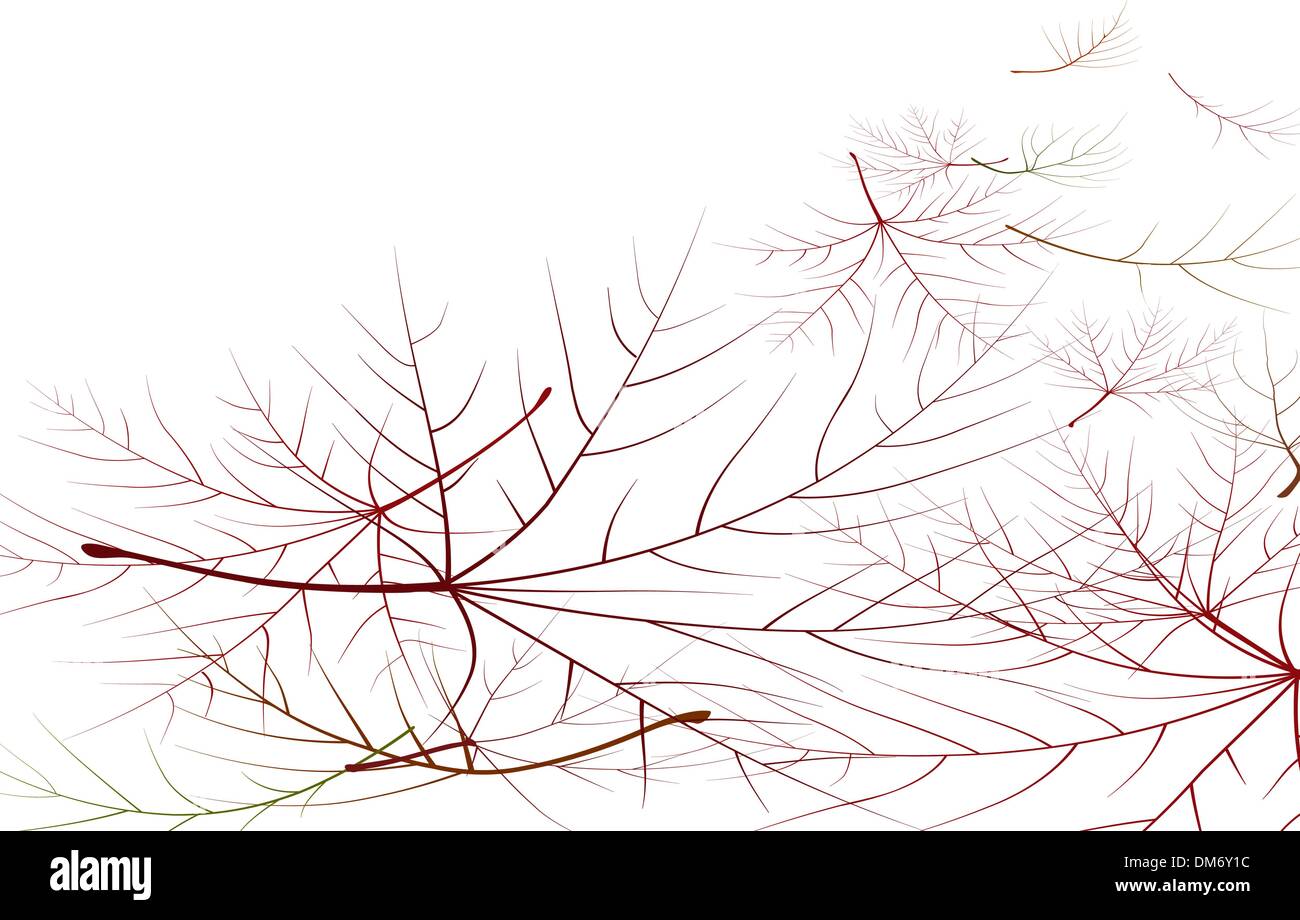 Caduta di verdure come sfondo compresi zucche Illustrazione Vettoriale