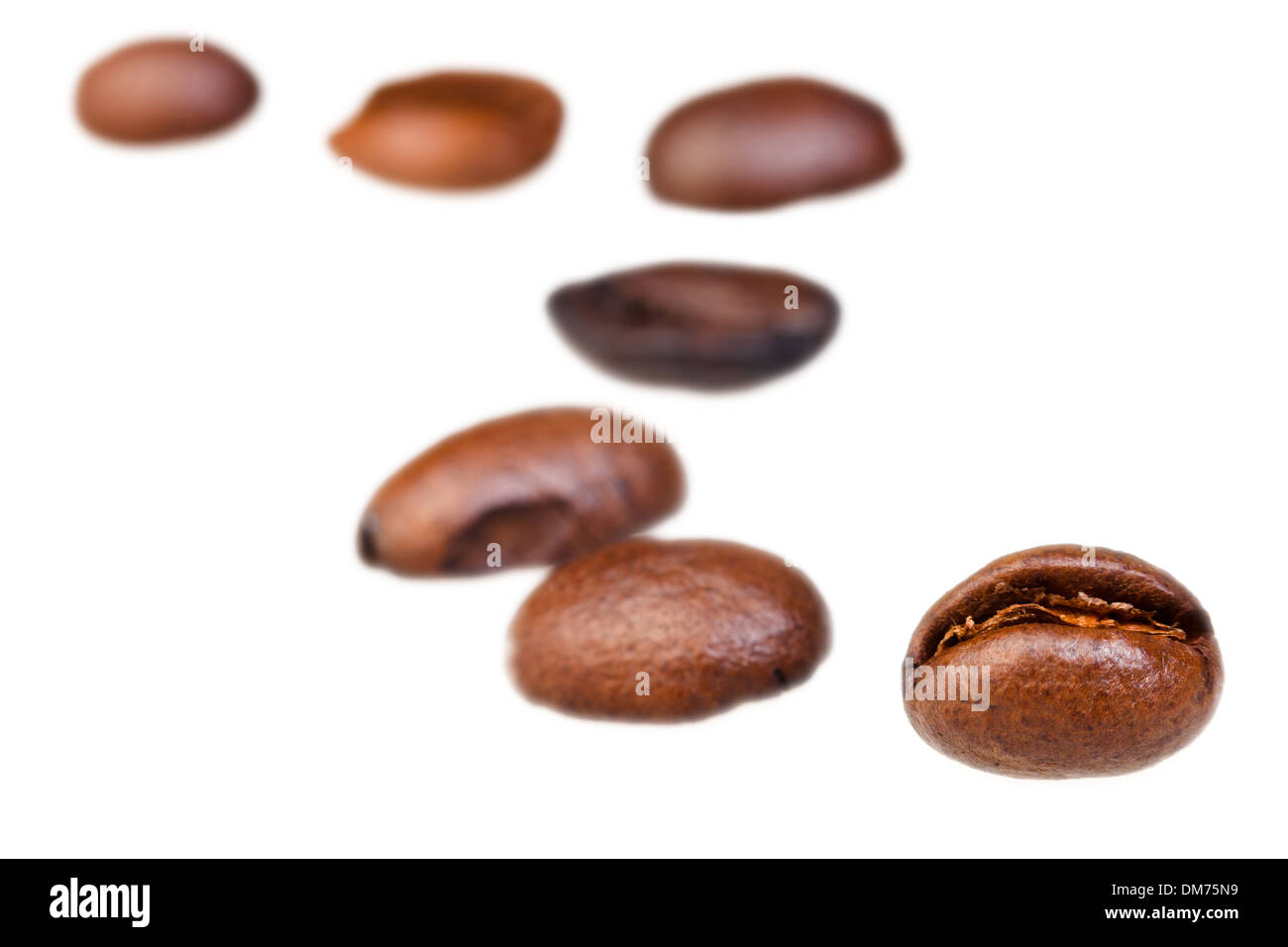 La curva del modello della linea da chicchi di caffè tostati con la messa a fuoco in primo piano Foto Stock