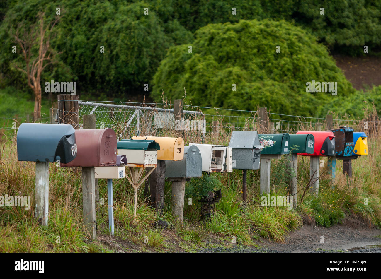 Postboxes su Harington Point Road, Otakou, vicino a Dunedin, Sud Otago, South Island, in Nuova Zelanda. Foto Stock