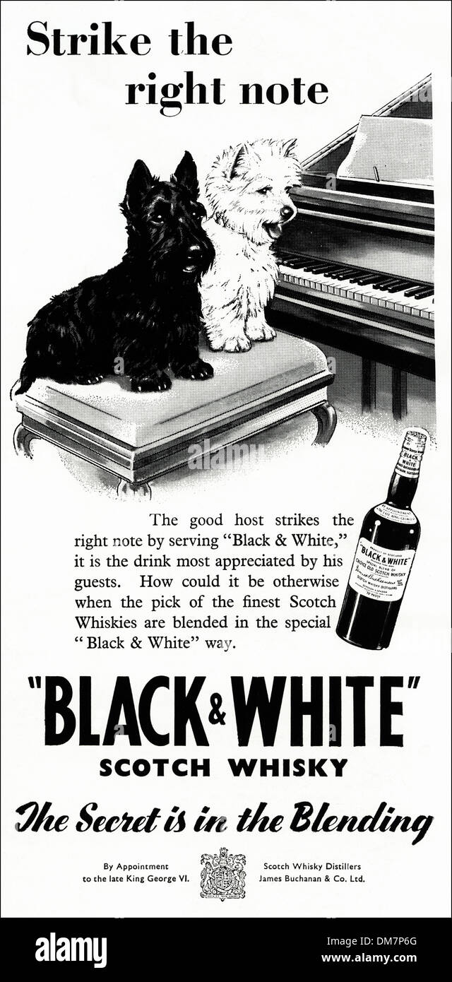 Anni Cinquanta la pubblicità. Vintage originale annuncio rivista annuncio per BLACK & WHITE SCOTCH WHISKY da Royal appuntamento. Foto Stock