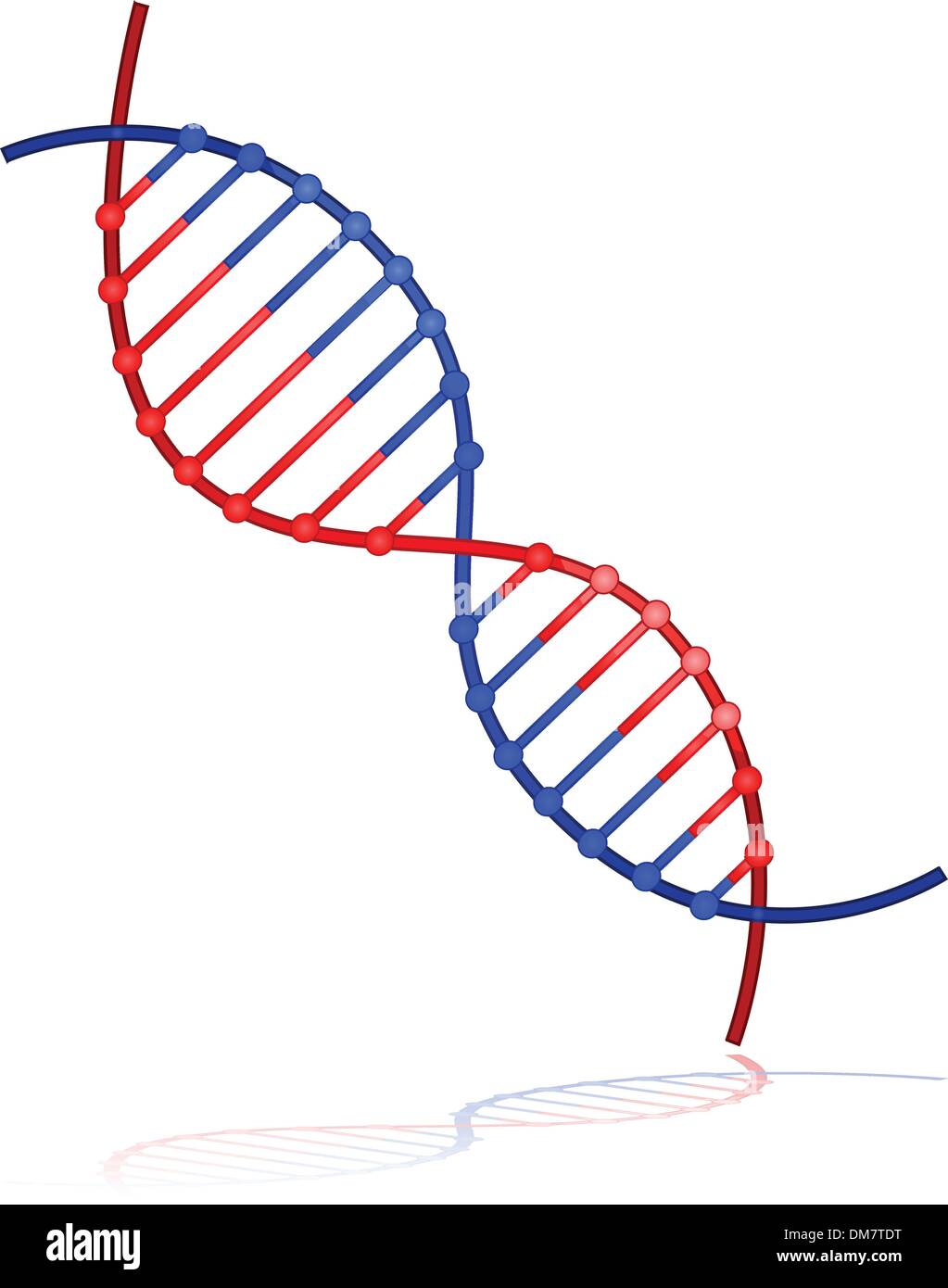 Filo del DNA Illustrazione Vettoriale