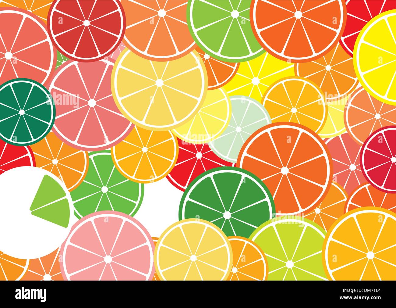 Fette di agrumi sfondo multicolore. Illustrazione Vettoriale