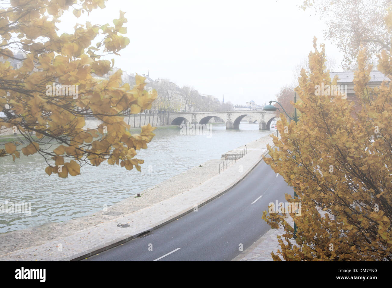 Street con Senna vicino a pont sully bridge in una nebbiosa giornata di dicembre. Parigi, Francia, Europa Foto Stock