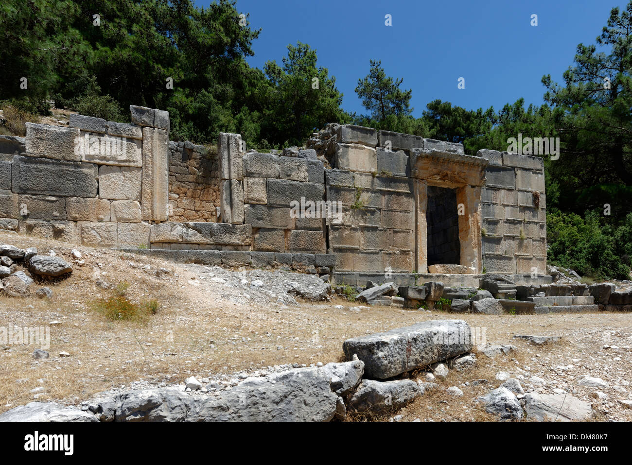 Resti di tombe di grandi dimensioni presso la necropoli Orientale, Lycian antica città di Arykanda, provincia di Antalya, Turchia meridionale. Foto Stock