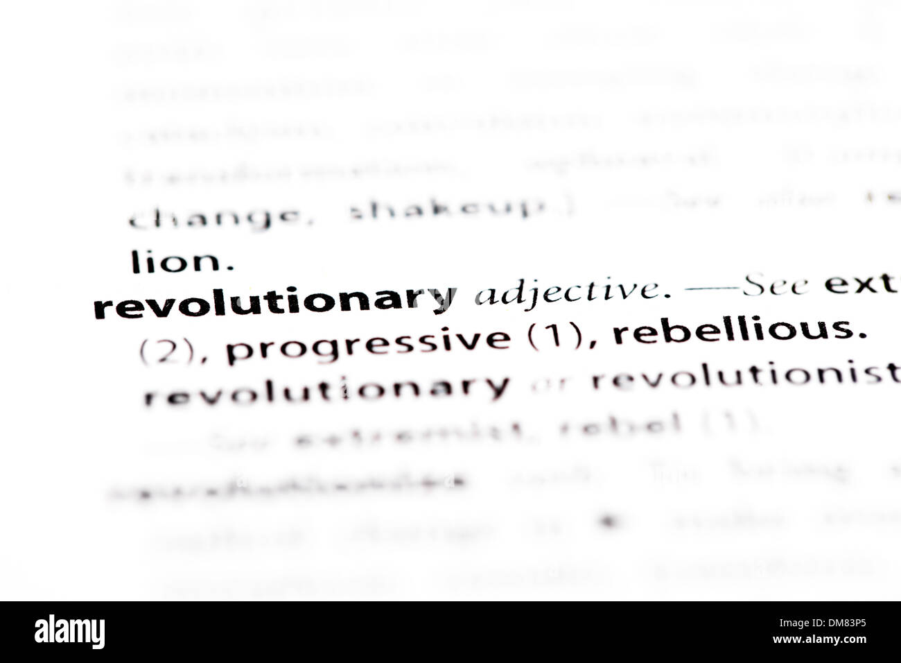 "Rivoluzionario" Definizione Foto Stock