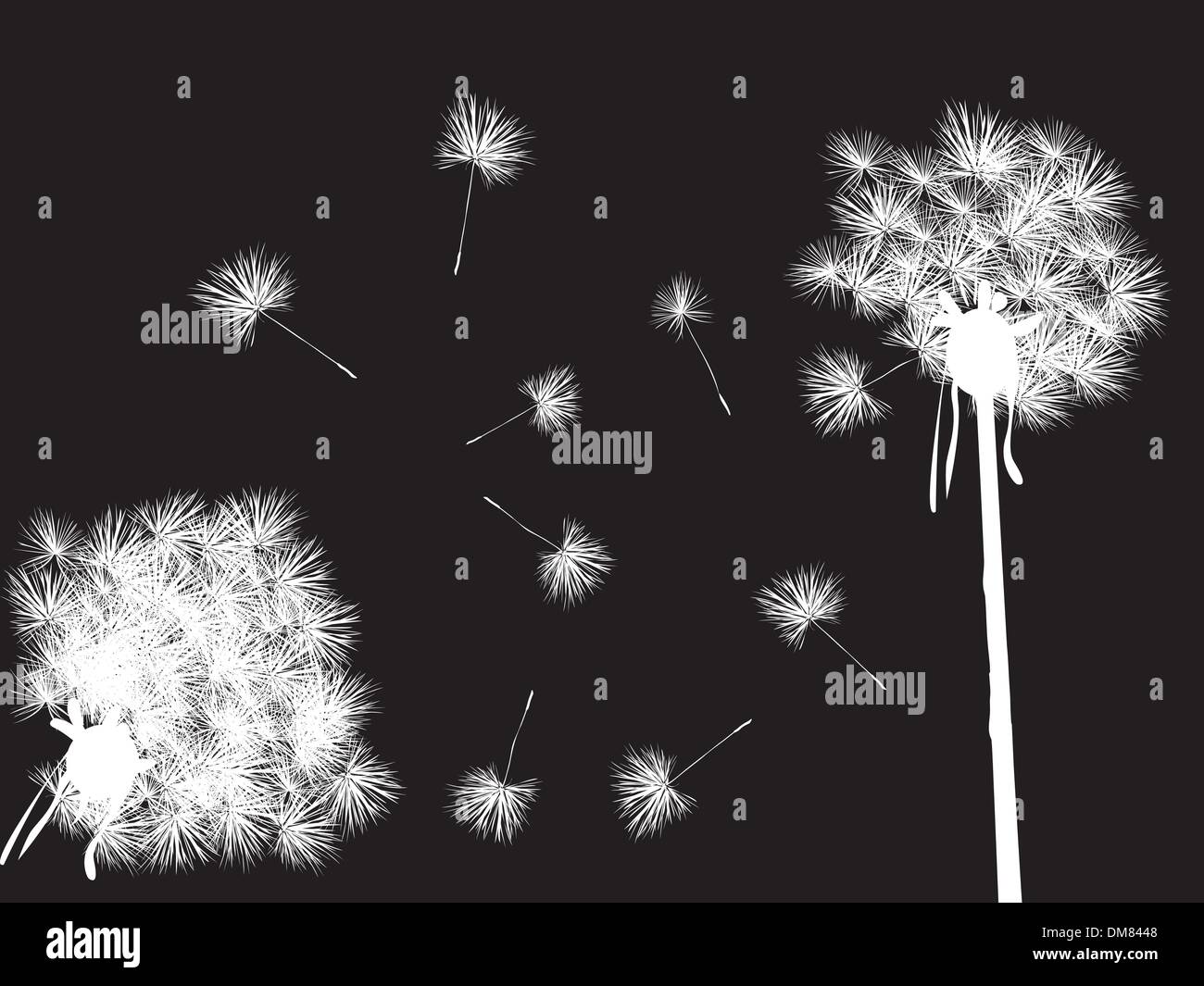 Il tarassaco nella notte Illustrazione Vettoriale