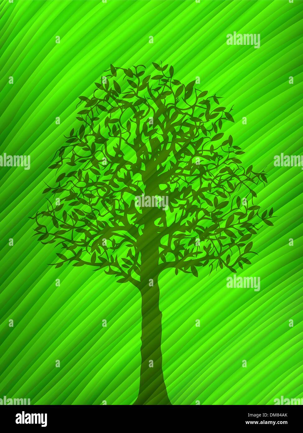 Ombra dell'albero Illustrazione Vettoriale