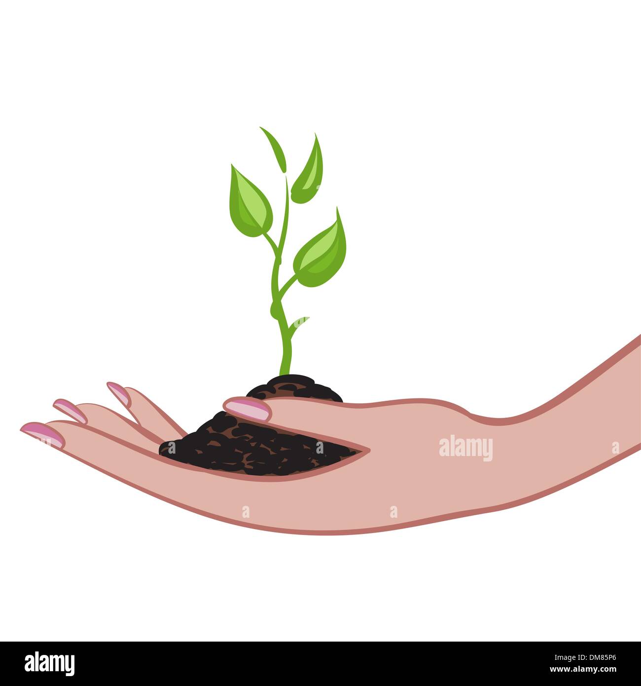 Coltivazione di piante verdi in Palm come un simbolo della protezione della natura Illustrazione Vettoriale