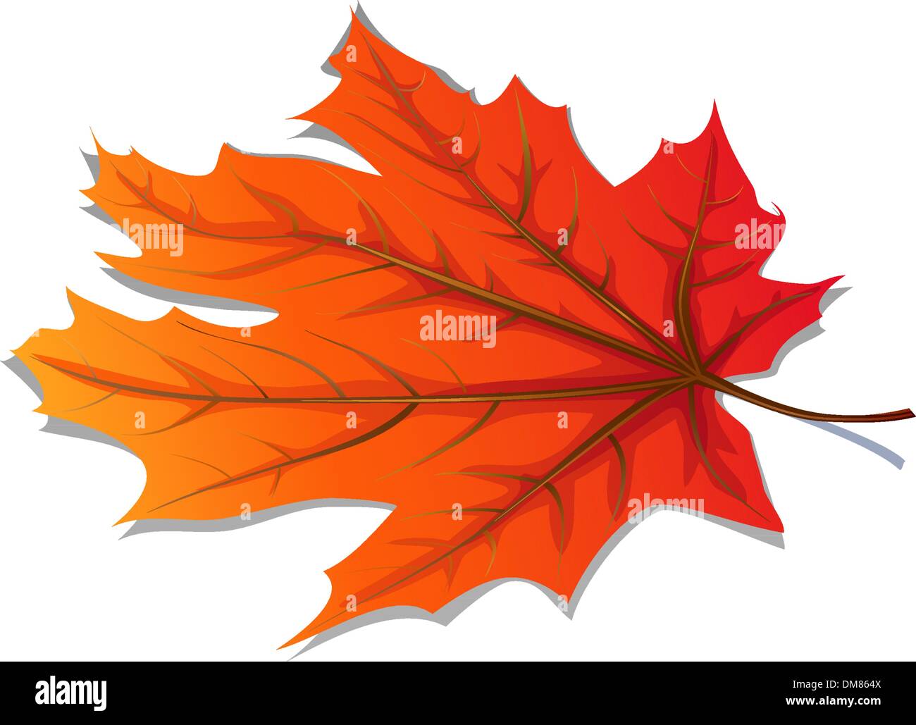 Autumn Leaf su acqua Illustrazione Vettoriale