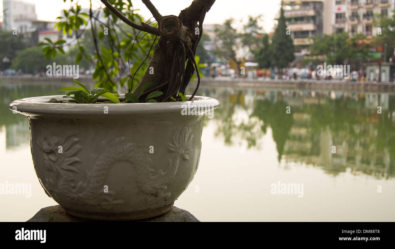 Lago e dragon Pot Hanoi Vietnam del Sud-est asiatico Foto Stock