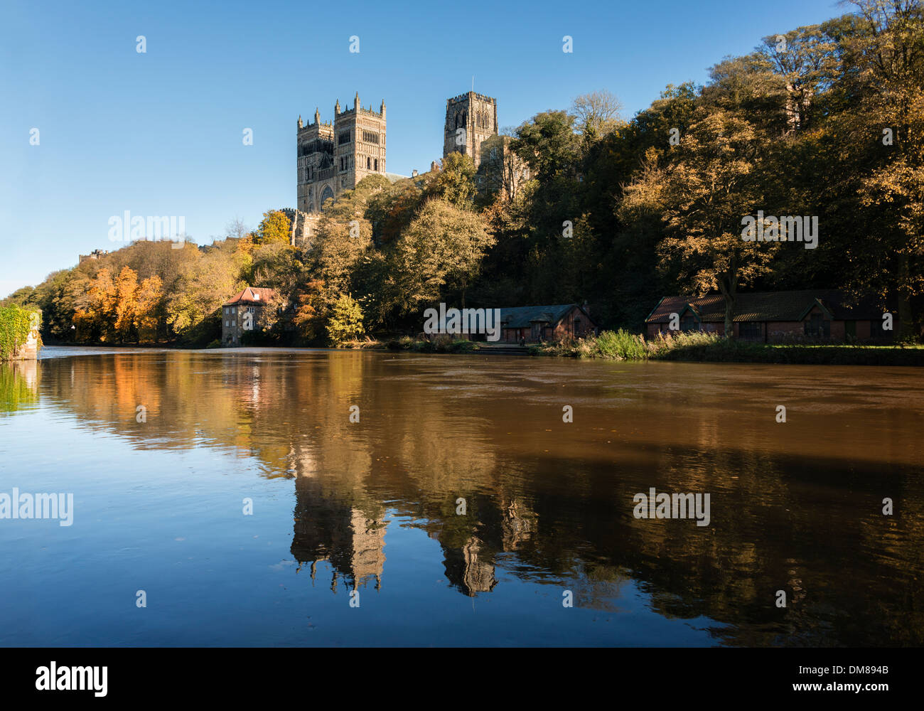 Usura del fiume e la Cattedrale di Durham Foto Stock