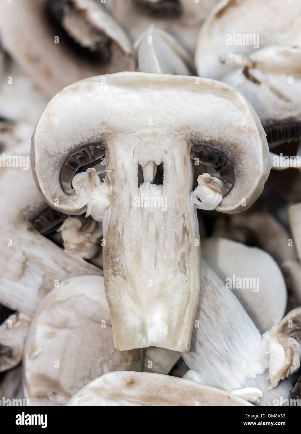 Funghi tagliati a fettine Foto Stock