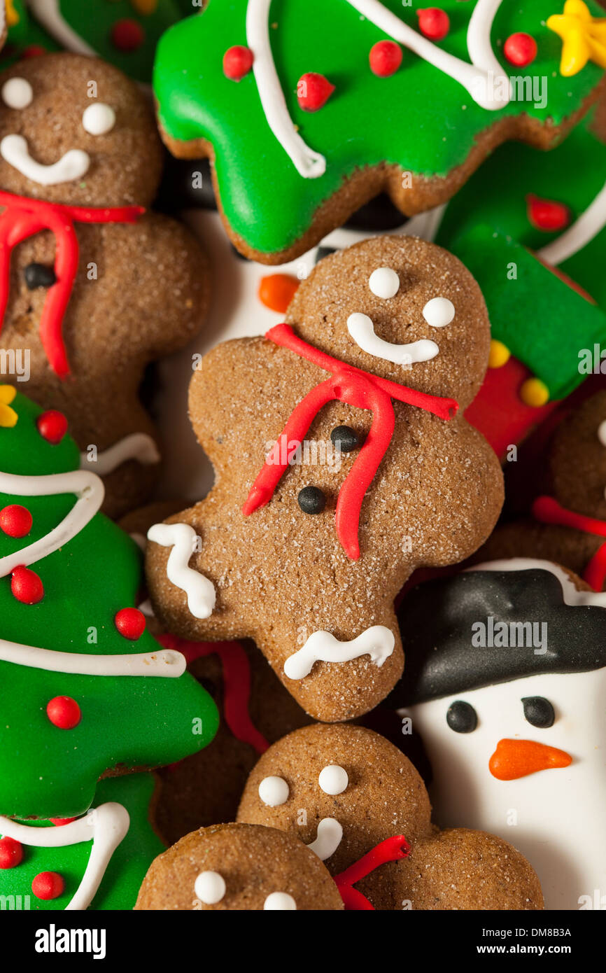 Iced tradizionale pan di zenzero biscotti di Natale con alberi e pupazzi di neve Foto Stock