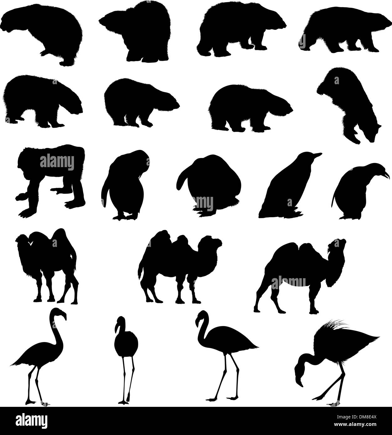 Set di orsi, APE, pinguini, cammelli e fenicotteri silhouette. Illustrazione Vettoriale