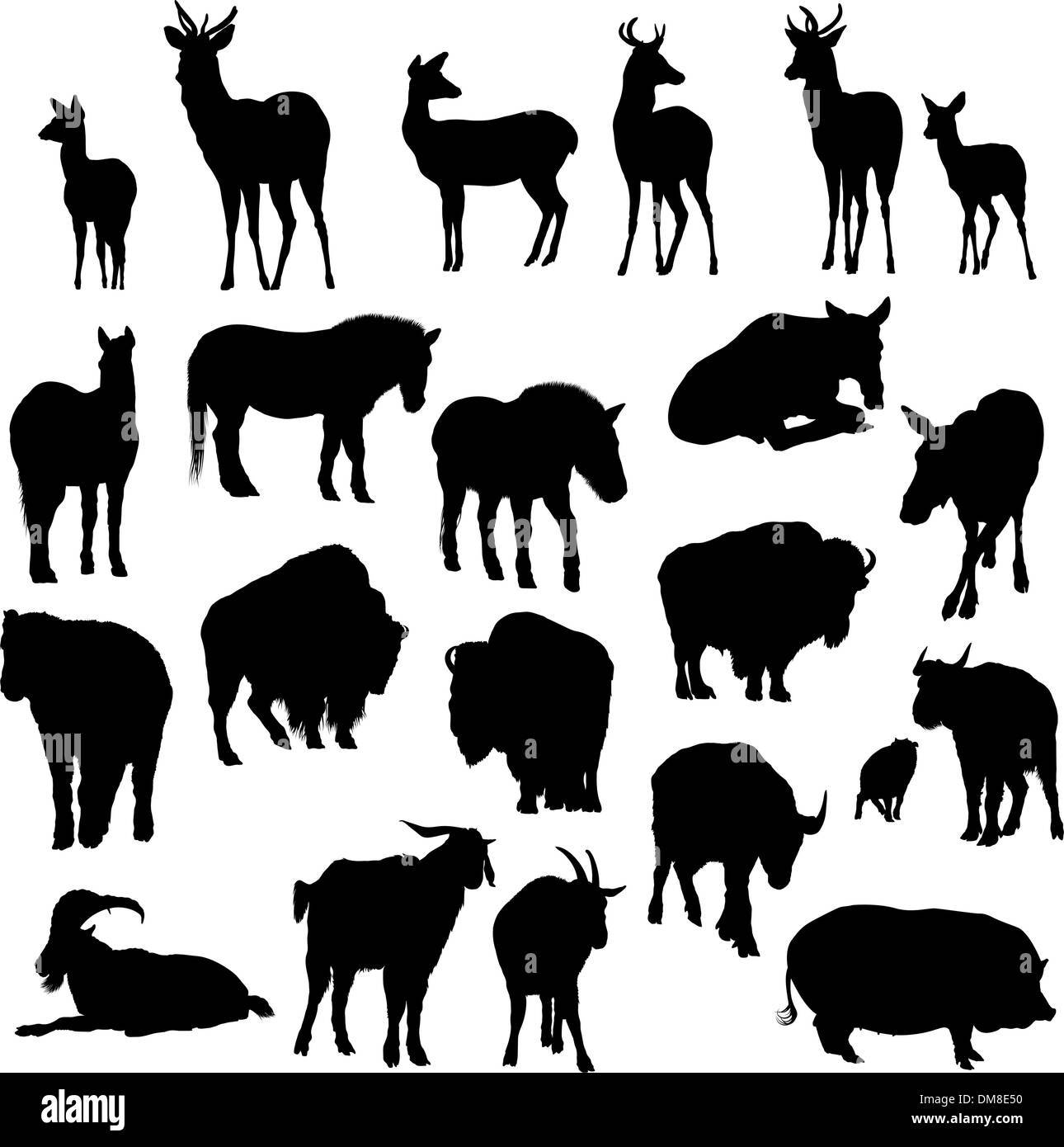 Set di cervi, cavalli, capre, yak, bufali e silhouette di maiale Illustrazione Vettoriale