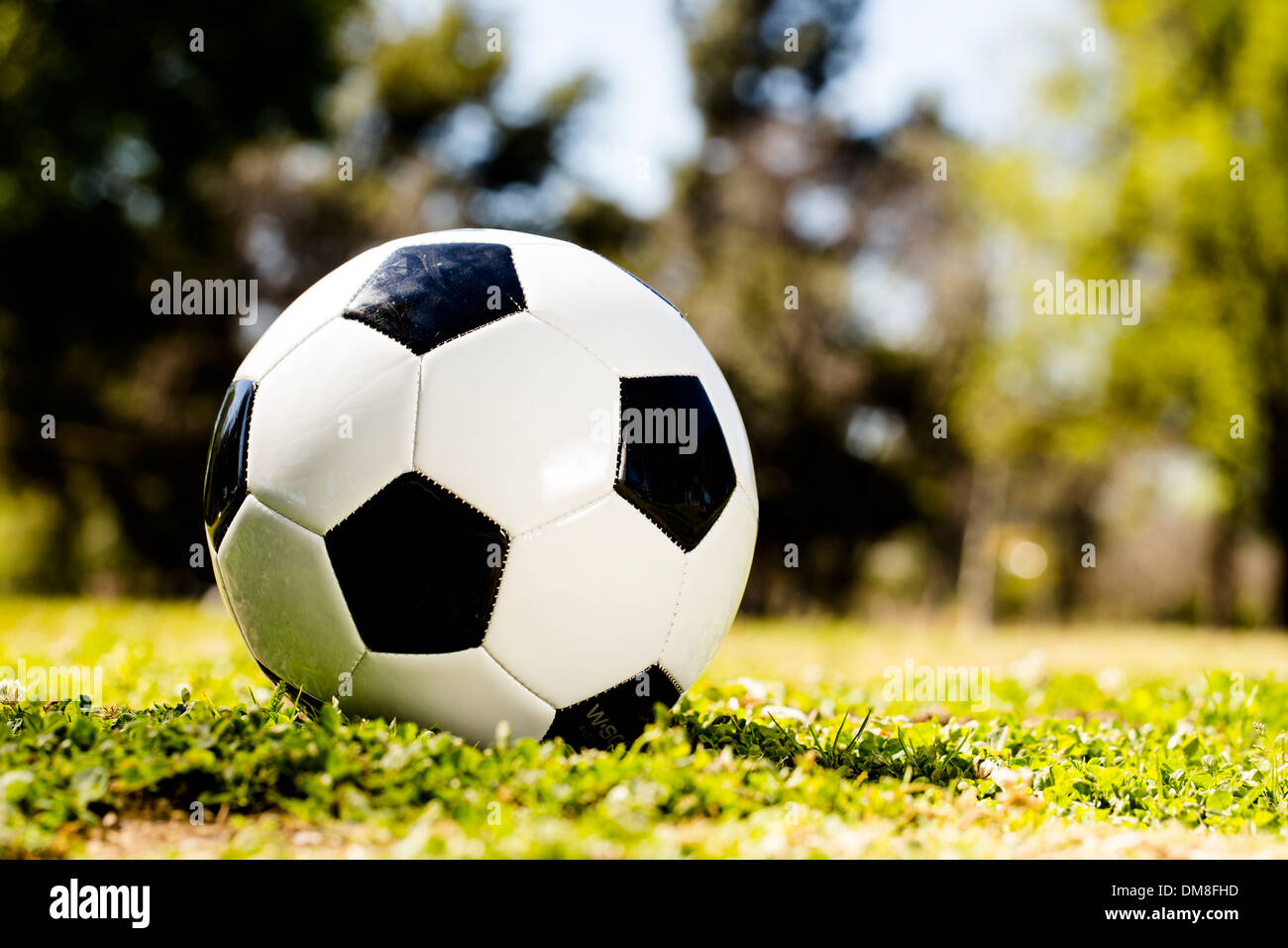 Pallone da calcio in erba Foto Stock