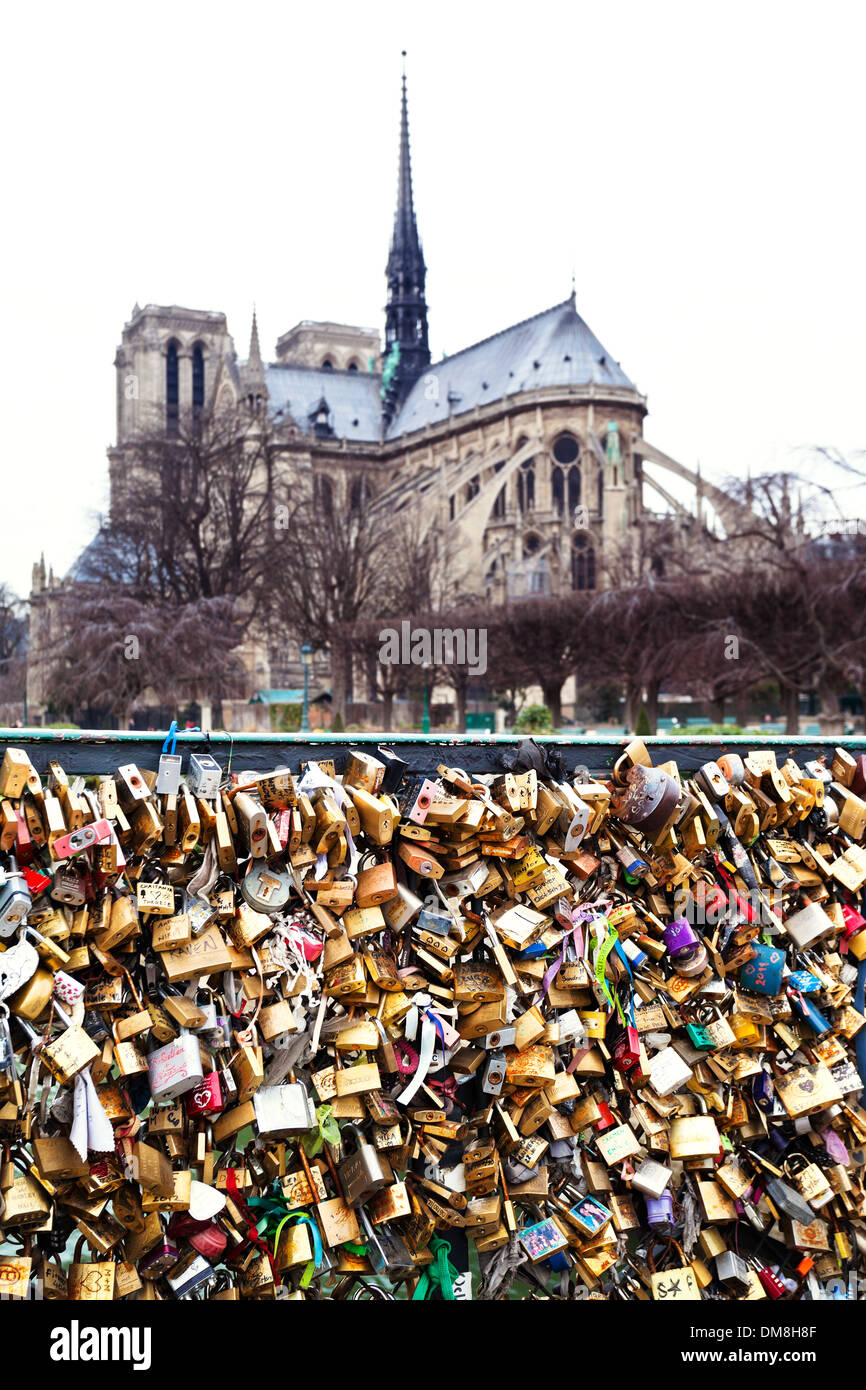 Pont de l'Archeveche con amore i lucchetti e la cattedrale di Notre Dame de Paris Foto Stock
