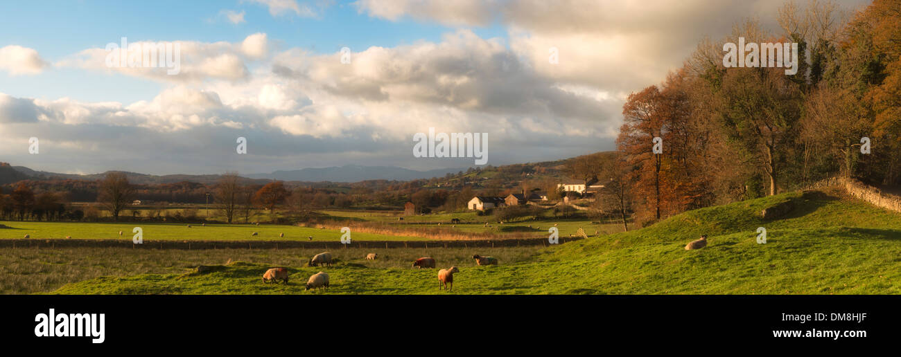 Bassa pianura vicino Brigsteer su un luminoso pomeriggio d'autunno. Foto Stock