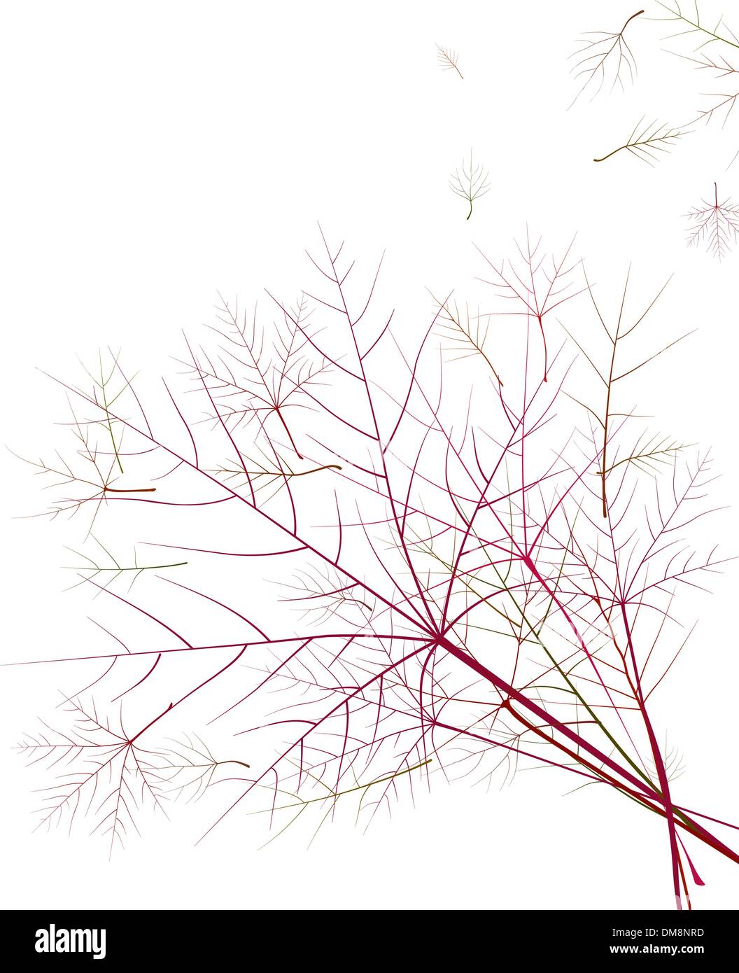 Foglie di autunno e poco profonda attenzione. Illustrazione Vettoriale