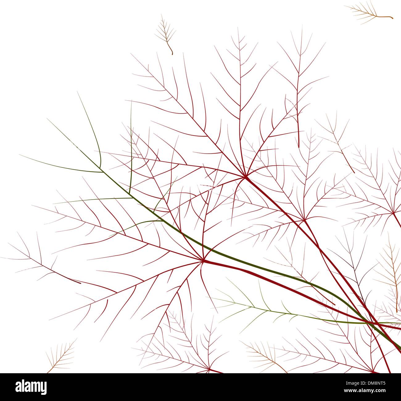 Foglie di autunno, molto superficiale la messa a fuoco. Illustrazione Vettoriale