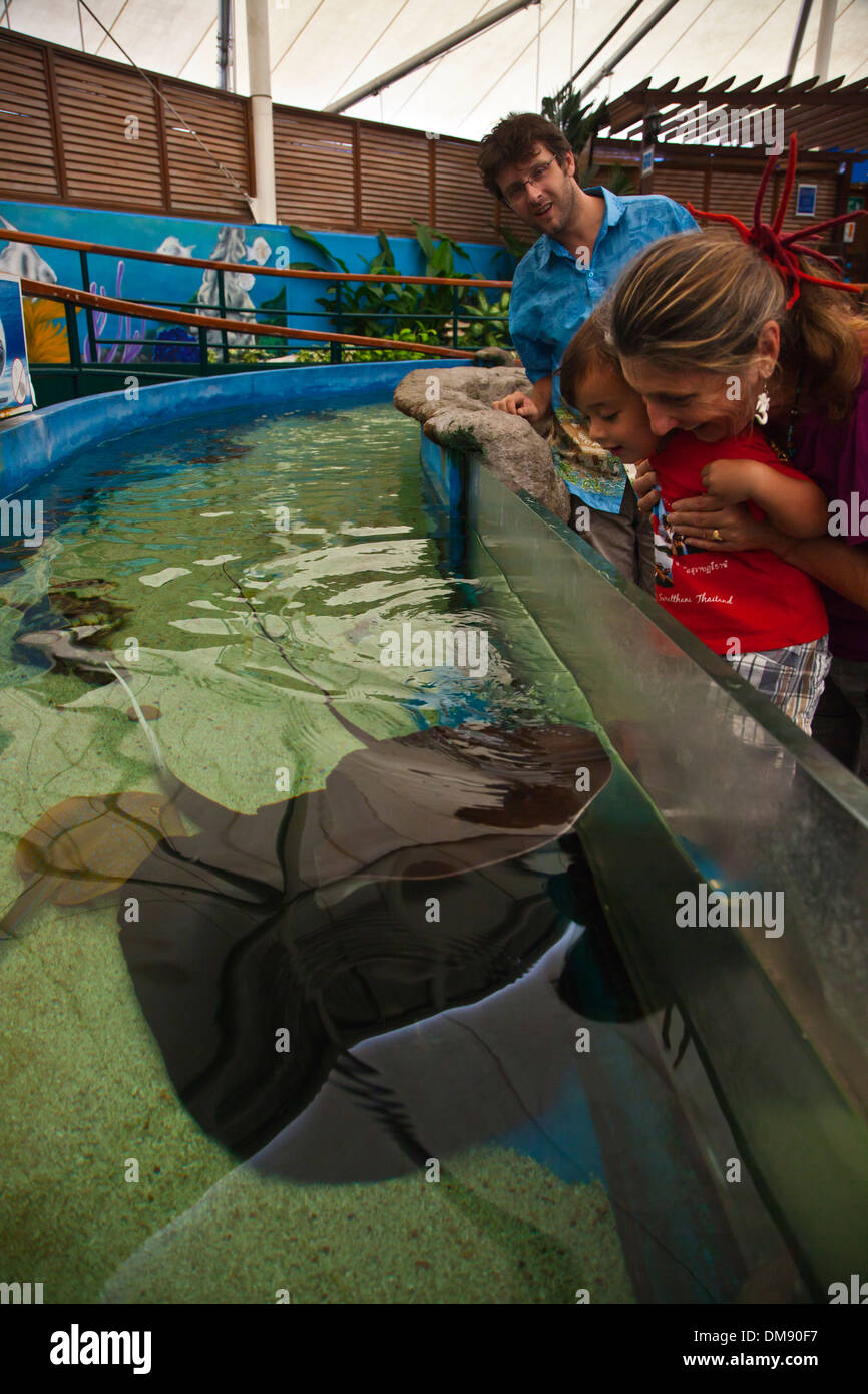 Un giovane metà metà Thai bambino americano con suo padre nonna - Aquarium di Rayong, Thailandia Foto Stock