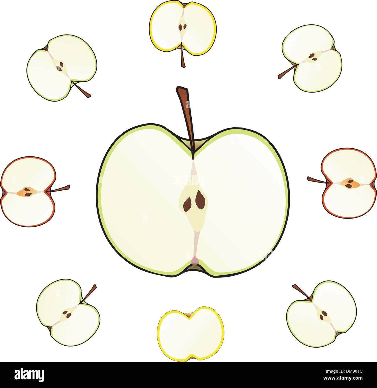 Apple cut illustrazione isolato Illustrazione Vettoriale